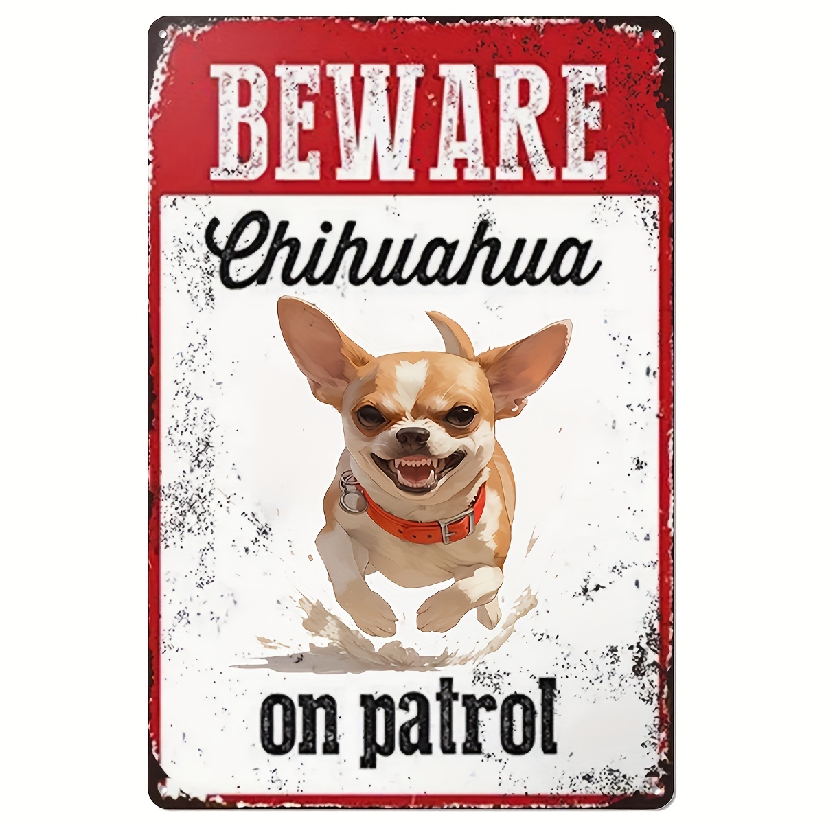 Home Improvement Hardware - Devriye Geçiren Chihuahua'ya Dikkat Edin Metal