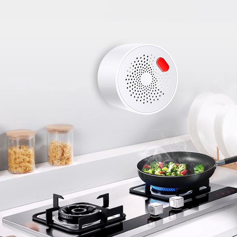 Tuya akıllı ev Wifi doğal gaz  - Home Improvement Hardware incelemesi ve fiyatı
