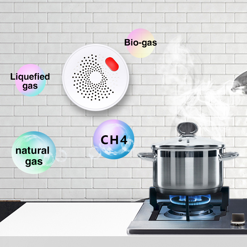 Tuya akıllı ev Wifi doğal gaz  - Home Improvement Hardware incelemesi ve fiyatı