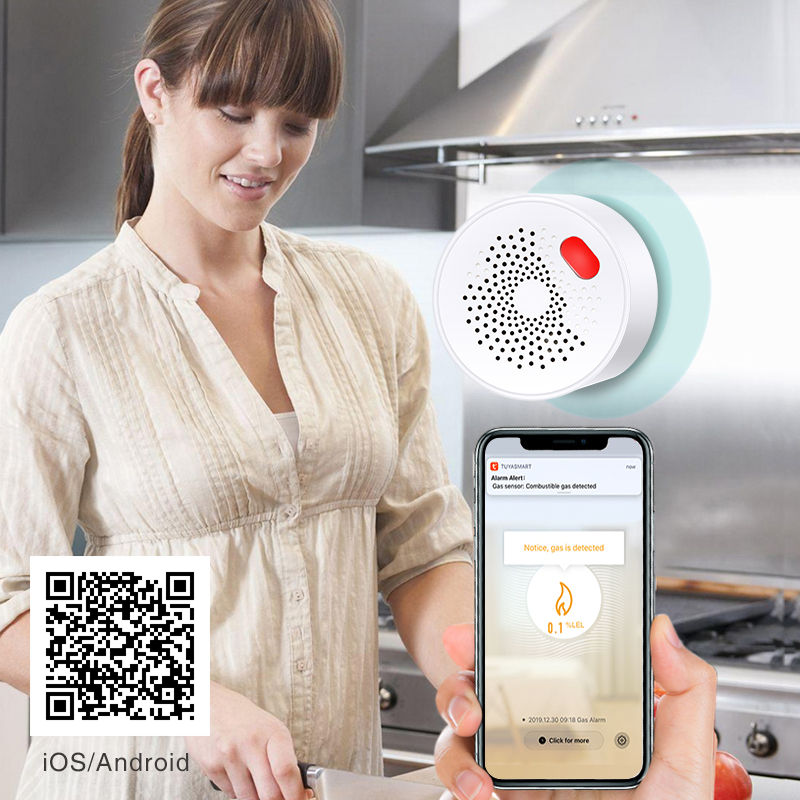 Tuya akıllı ev Wifi doğal gaz  - Home Improvement Hardware incelemesi ve fiyatı